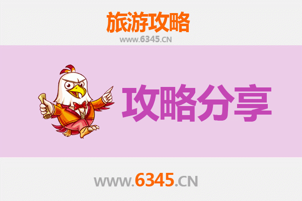 九江瑞昌至湄洲岛旅游攻略：跟团 vs 自由行深度解析